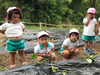 26A2458A-D76F-4ABA-B50E-C2E0799625D0.jpeg
