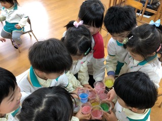 C156B288-5D2A-4C5B-8E3D-EB1156C9E176.jpeg